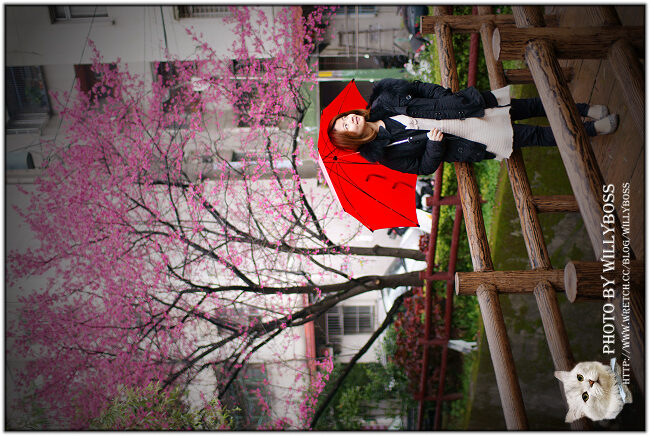 2011.2.12-13 攝影練習－情人節前夕的週末雨櫻巡禮 @威利博斯的白金殿堂